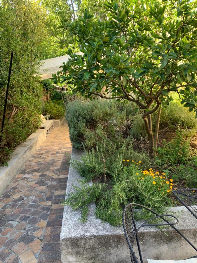 Courtyard Studio Lights And Wi Fi During Load Shedding Stellenbosch Exteriér fotografie